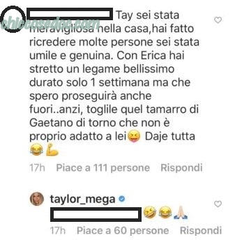 Taylor Mega